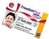 disabled person travel pass