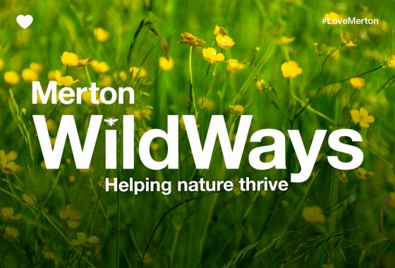 WildWays: boosting biodiversity on grass verges